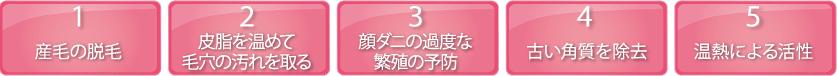 1.産毛の脱毛 2.皮脂を温めて毛穴の汚れを取る 3.顔ダニの過度な繁殖の予防 4. 古い角質を除去 5.温熱による活性